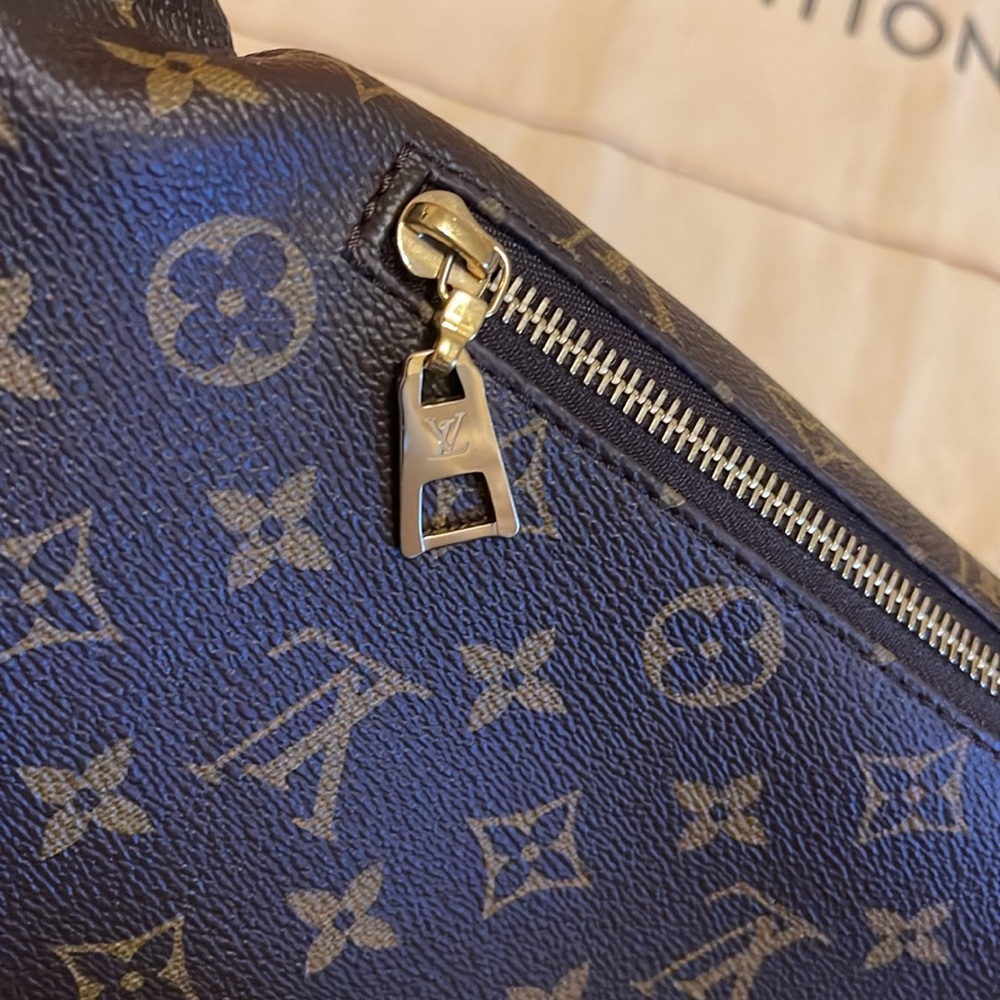 Louis Vuitton Monogram Bum Bag - Picture 14 of 17